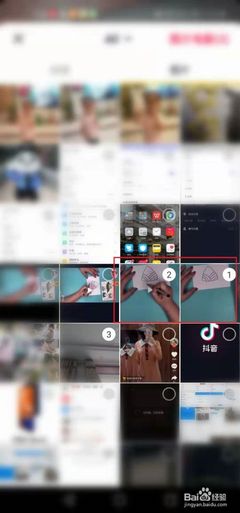 抖音怎么分享视频？详细教程和技巧解析