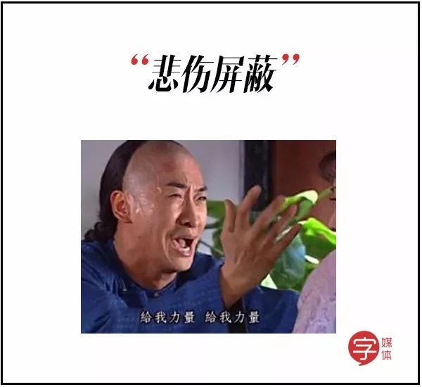 视频号如何屏蔽动态，轻松掌控社交内容