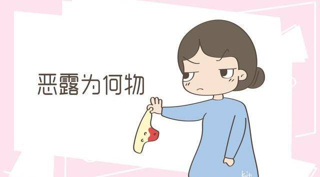 快手怎么看回放？轻松掌握回放技巧，畅享精彩瞬间！