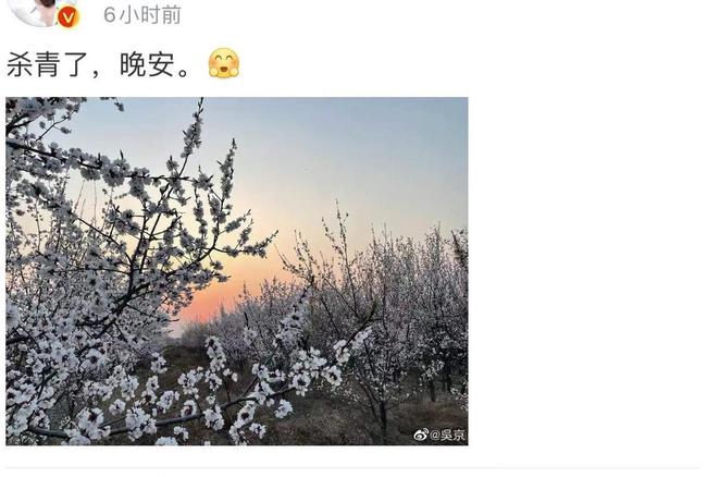 怎么拍抖音：新手必看的超全攻略