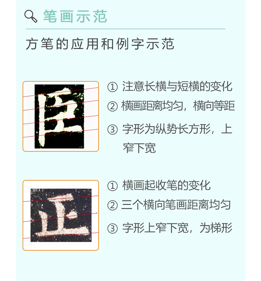 抖音怎么更新最新版本？轻松几步带你快速掌握！