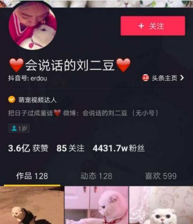 个人抖音如何提升自我价值，实现变现梦想