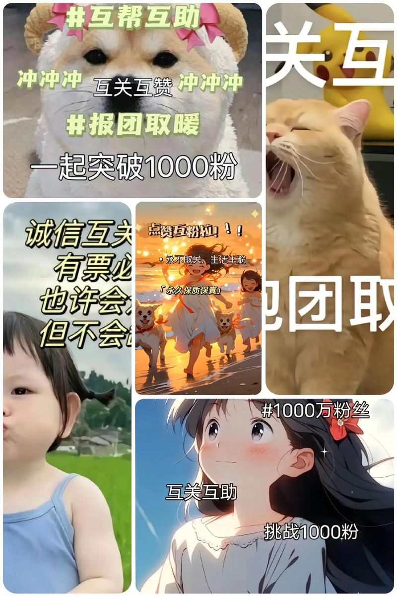 抖音买1000粉在哪里买-抖音业务抖音买粉丝
