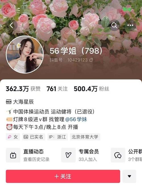 抖音便宜粉丝网站-3元一万粉抖音网站