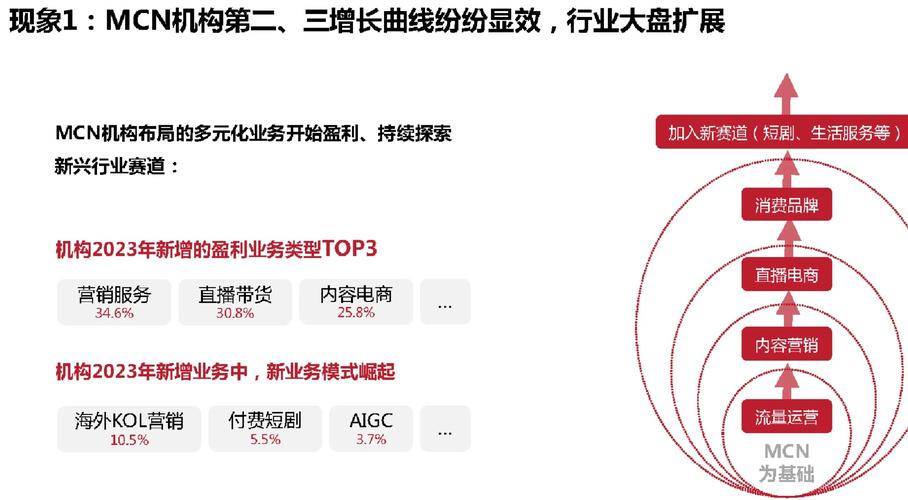 双击抖音点赞业务兴起，解析市场新趋势与行业规范发展