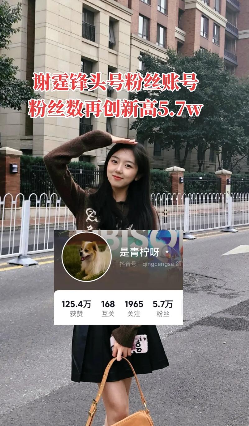 抖音粉丝业务新突破，20个精准服务助力账号快速成长