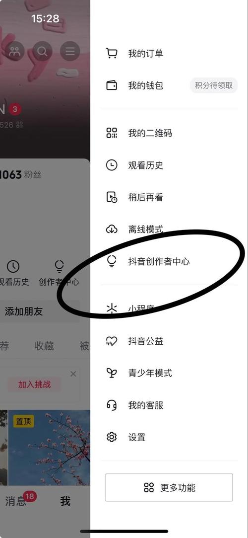 社交媒体时代快速涨粉1000的底层逻辑与实战技巧，基于用户行为与算法机制的深度解析
