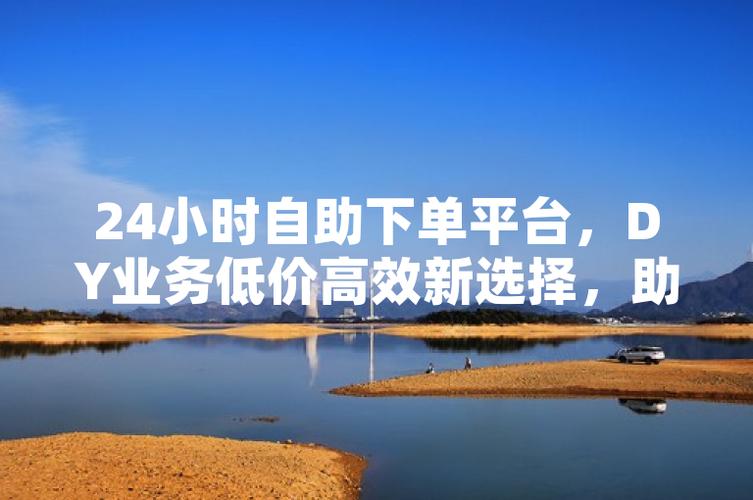 全网自助下单新突破，价格最低服务优，引领消费新风尚
