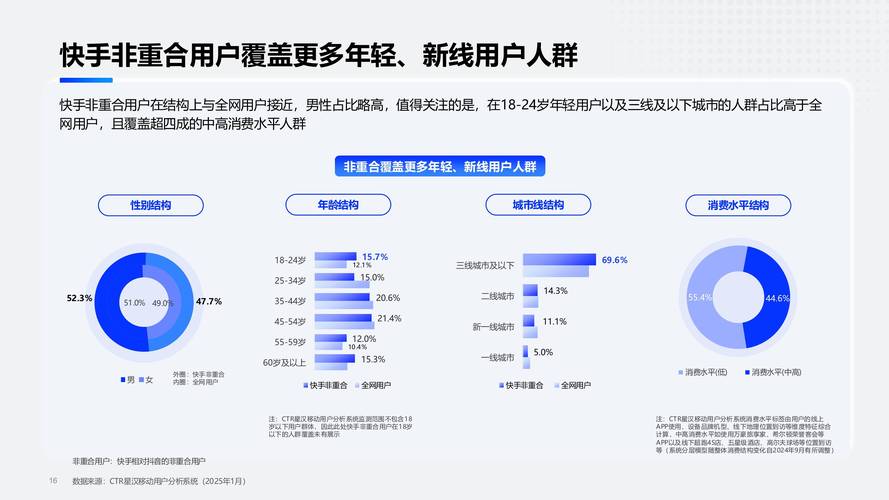 快手加粉平台，行业生态解析与增长策略深度探讨