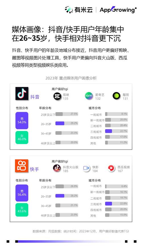 快手点赞业务下单网站，数字化社交生态下的流量变现新模式与行业规范探索