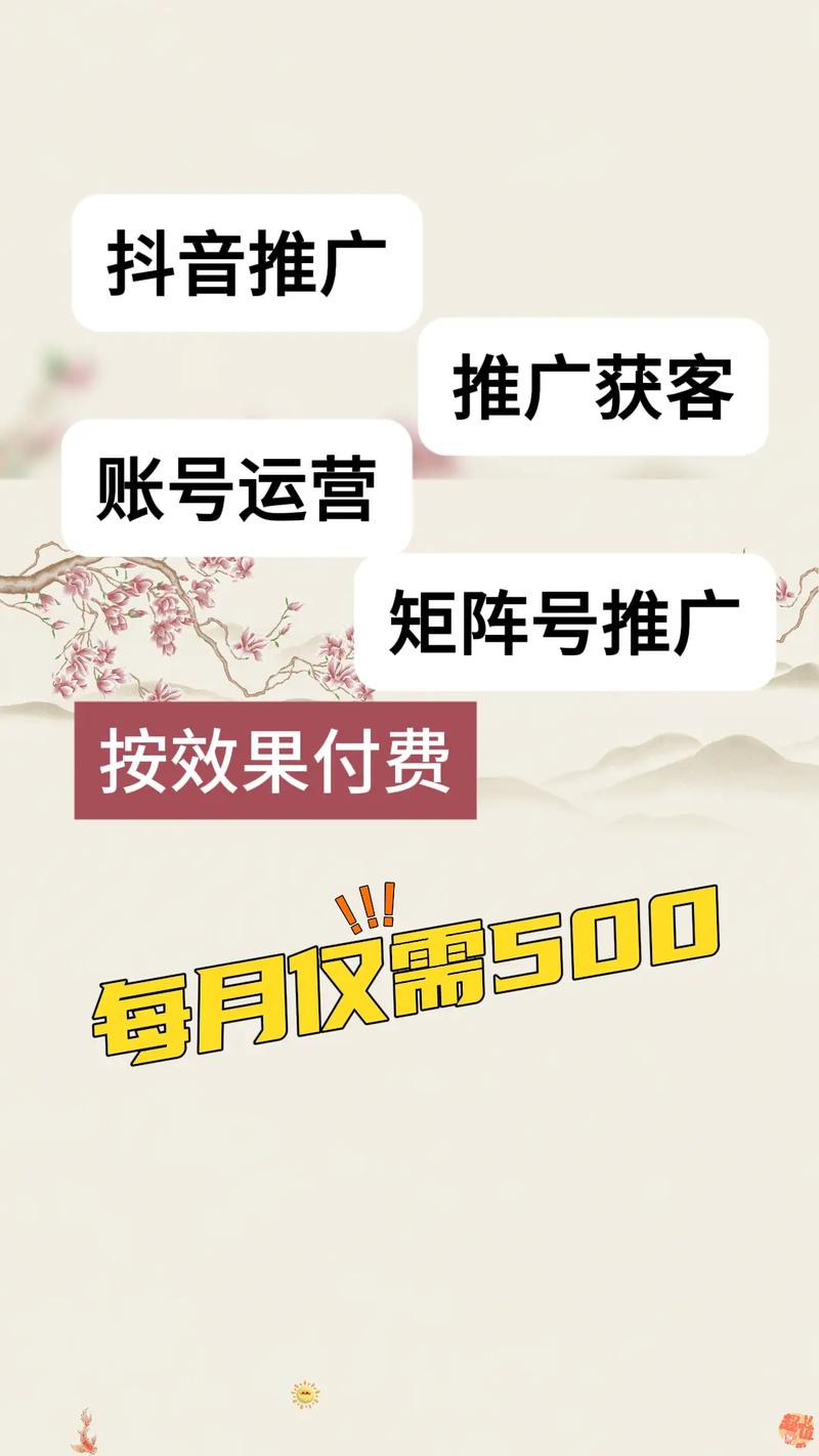 清风抖音业务网，赋能短视频生态，打造行业服务新标杆