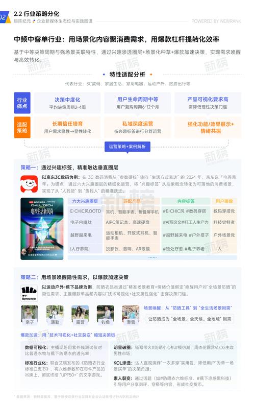 免费粉丝网站推广，低成本高效能的用户增长策略与行业实践