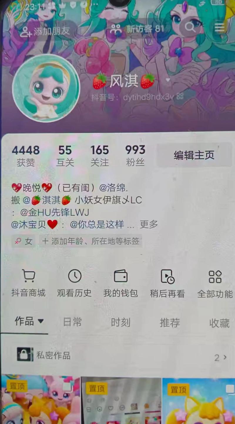 抖音运营新突破，高效策略助力账号快速突破1000粉大关