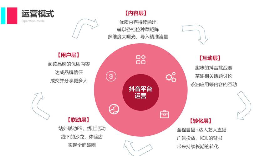 抖音粉丝平台网站崛起，数字化生态赋能创作者与品牌营销新路径