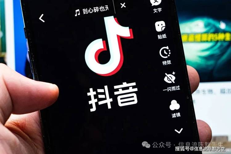 抖音粉丝24小时秒单业务平台，高效赋能，开启流量变现新纪元