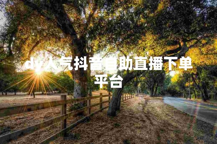 dy自助平台-抖音在线点赞业务