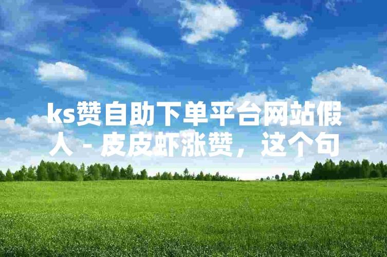 ks涨点赞1元1000个活粉-自助下单平台免费