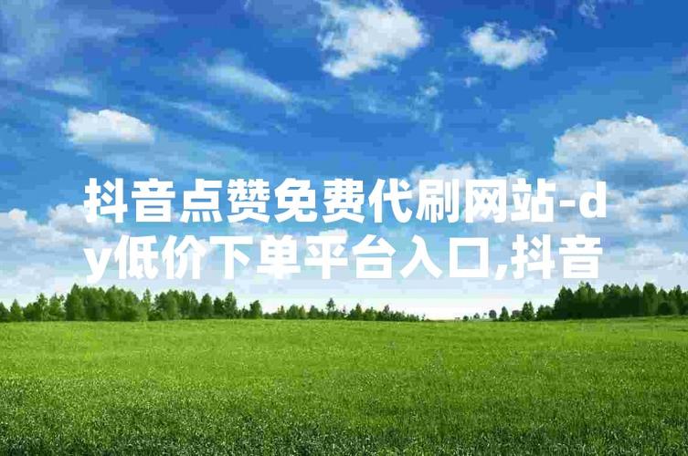 dy业务低价自助平台超低价安逸-抖音赞在哪买