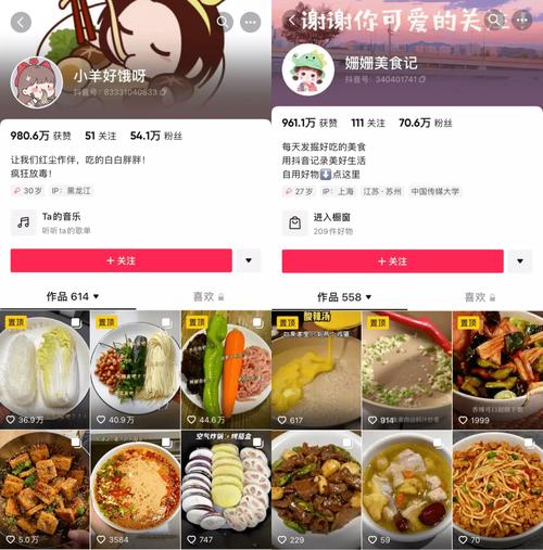 抖音点赞业务24小时购买-dy怎么买1000粉