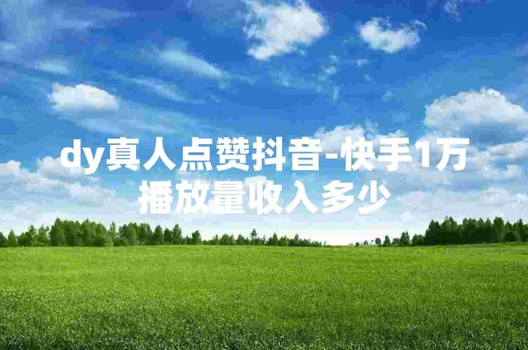 dy点赞神器-dy真实粉丝