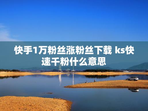 快手买粉丝软件-买快手粉丝