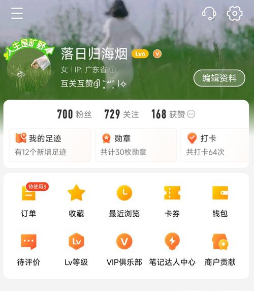 ks点赞充值网站-1元1000个粉丝