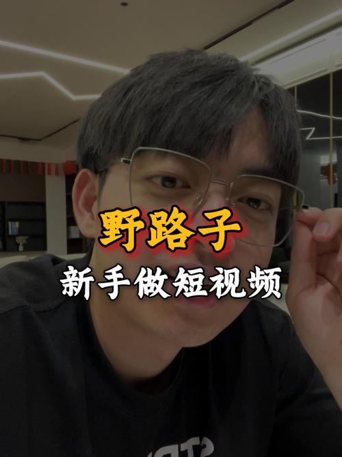KS点赞怎么赚钱-揭秘短视频互动变现的野路子与正途