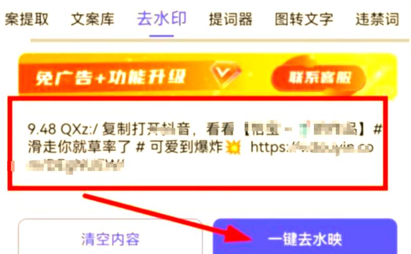 免费涨1000点赞软件-揭秘背后的真相与实用涨粉技巧