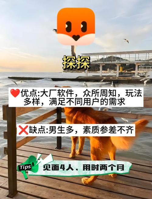 快手增粉软件-快速提升账号人气的小秘密与避坑指南