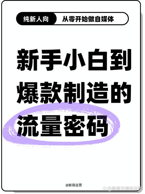 ks热门业务-解锁流量密码，打造爆款内容新玩法