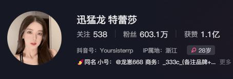 dy粉丝业务dy粉丝业务24小时-dy抖音网红业务平台