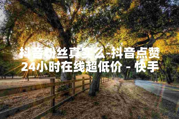 快手快手粉丝业务网站-抖音24h自助推广下单平台