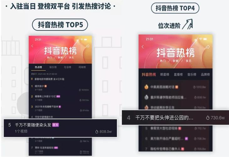 抖音粉丝自助下单服务兴起,数字化营销新路径探索