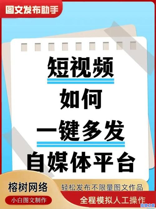 抖音自助平台业务下单新突破,价格优势引领行业新风尚