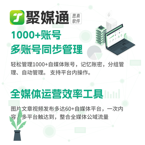 抖音点赞24小时接单服务兴起，数字化时代下的新业态探索