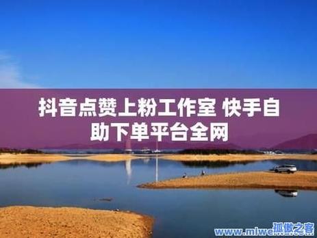 抖音点赞自助平台低价服务引热议,行业规范待加强