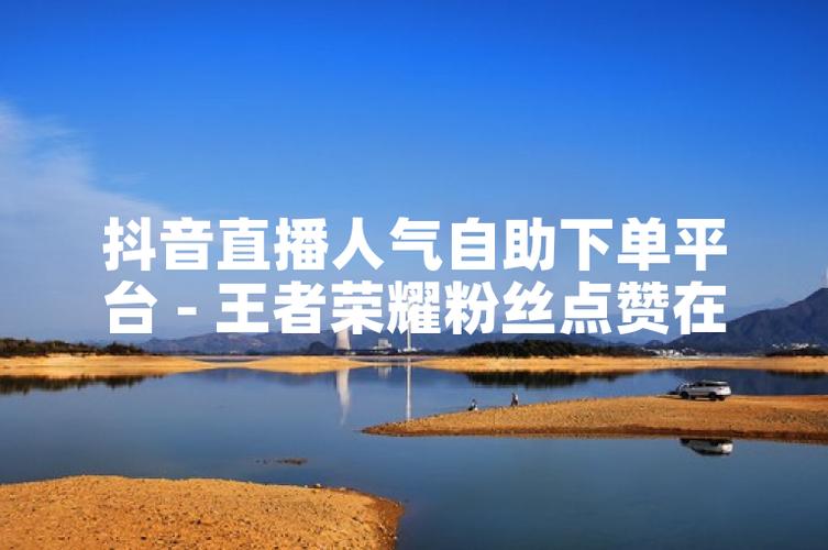 抖音粉丝自助下单网站