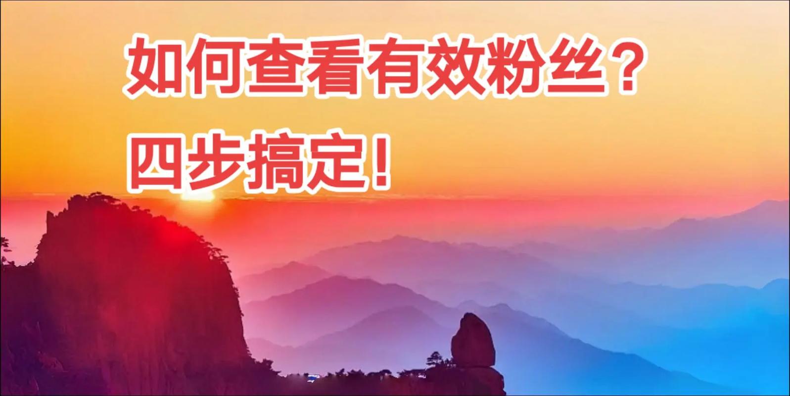 如何查看抖音有效粉丝,如何查看抖音有效粉丝：深入探究与策略指南!