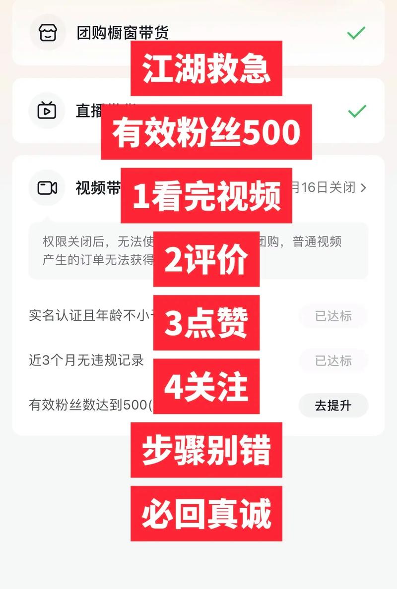### 标题：《500粉丝起步：抖音新人的冷启动策略与长期成长指南》