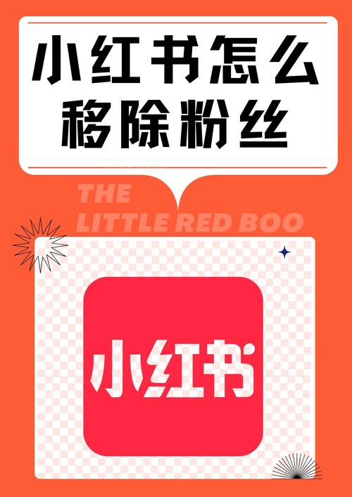 小红书粉丝购买平台实战攻略，轻松吸引粉丝关注