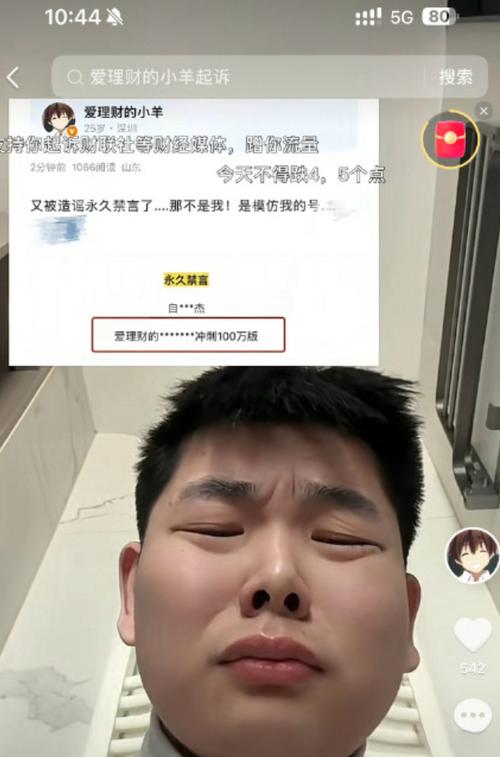 # 抖音涨粉迷途：在线购买“真实粉丝”的真相与危害