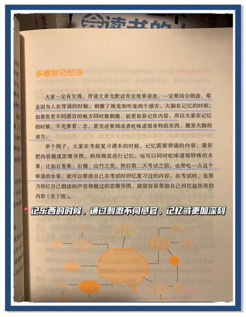 # 破译小红买书逻辑:解锁高效阅读与知识获取新路径