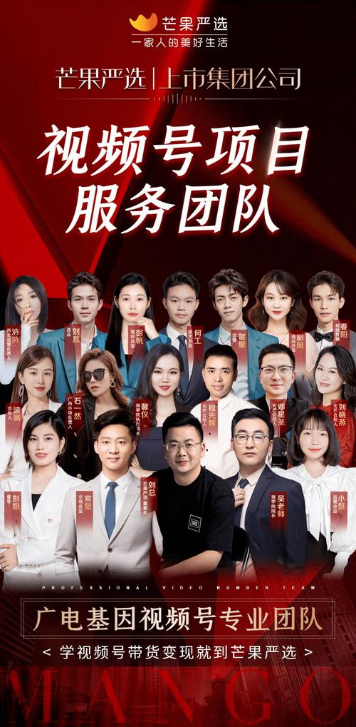 玩转视频号，不可不知的刷赞平台大揭秘！