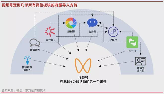 标题：独家揭秘：视频号刷粉平台运作机制与生态链全解析