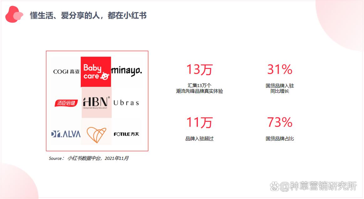 标题：从0到10W+粉丝！小红书爆款达人养成指南：6大核心策略助你快速破圈