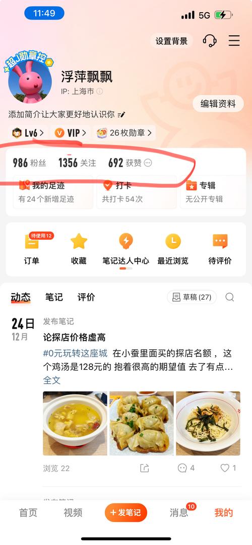 标题：小红书粉丝增长秘籍大公开：告别高价买粉，一元千粉策略让你轻松破圈！