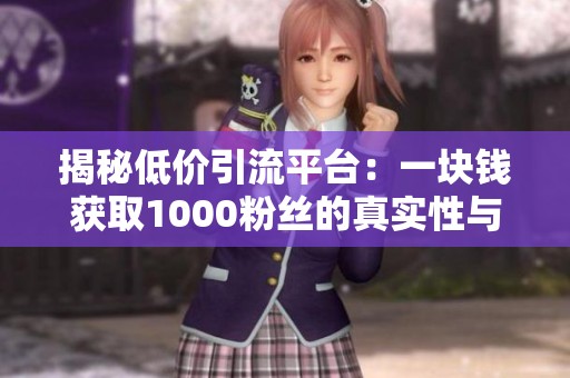 揭秘低价引流平台：一块钱获取1000粉丝的真实性与风险