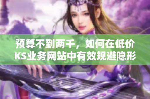 预算不到两千，如何在低价KS业务网站中有效规避隐形消费